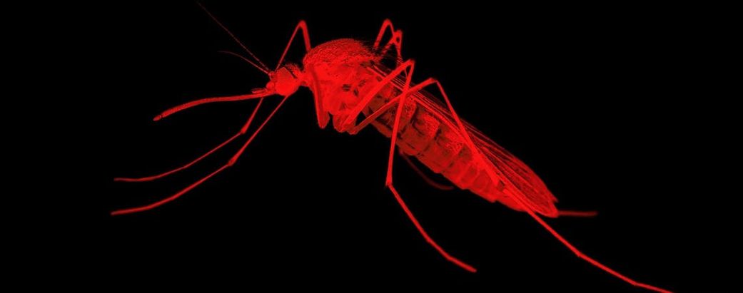 Après le Mpox, une maladie fait 4 morts à Saint-Louis
