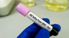 Fièvre de la Vallée du Rift : 324 cas recensés au Sénégal, la vigilance reste de mise