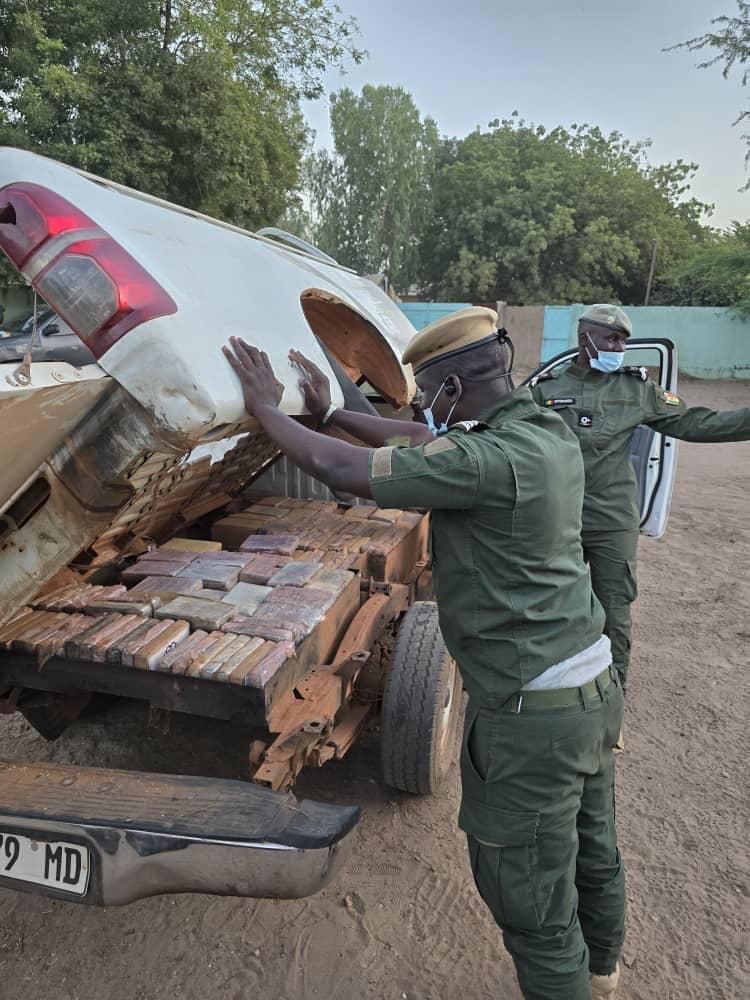 Koungheul : 235 kg de cocaine d'une contrevaleur de 18 milliards FCFA saisis