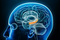 Le cerveau commence à se manger lui-même lorsque vous faites cet effort physique (Etude)