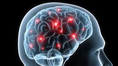 Le cerveau commence à se manger lui-même lorsque vous faites cet effort physique (Etude)