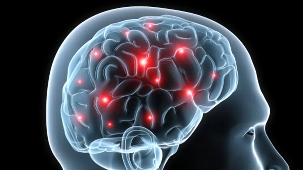 Le cerveau commence à se manger lui-même lorsque vous faites cet effort physique (Etude)