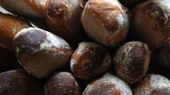 Du pain aux cafards dans une boulangerie à Grand-Yoff