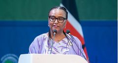 BAD : qui succèdera à Akinwumi Adesina ?