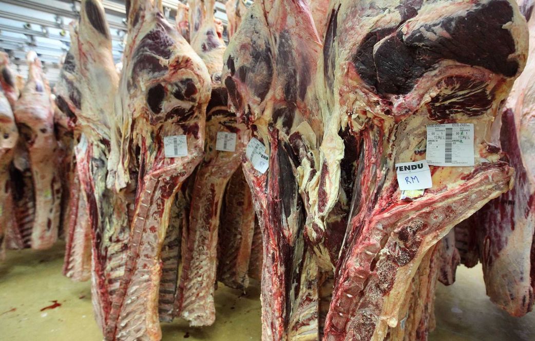 Sicap Mbao : du cadavre de mouton dans les assiettes