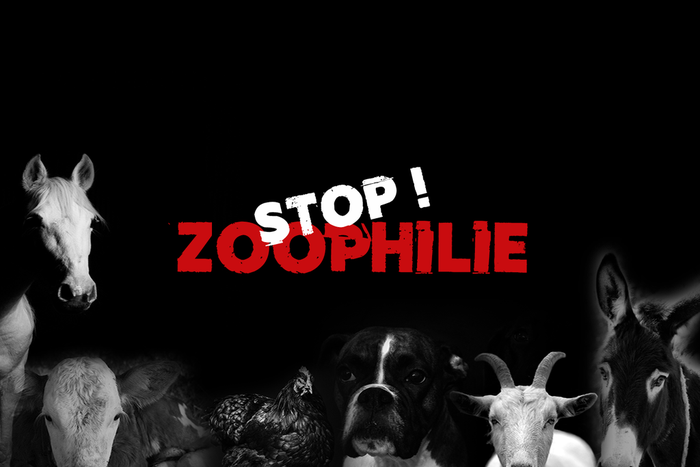 Stop-Zoop