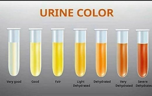 Why does your urine change colour? [Xcom]