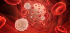 Leukaemia- Cancer Health