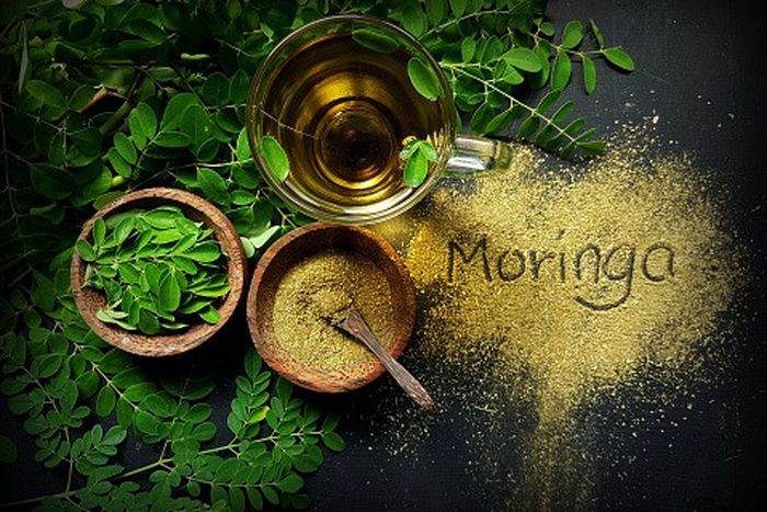 You should add moringa to your diet [iStock]