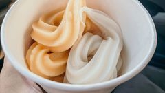 The creamy treat was dense and delightful.