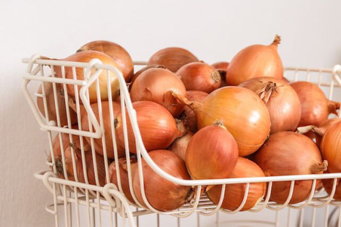 How to store onions the right way so they last longer [Bagels and Lasagna]
