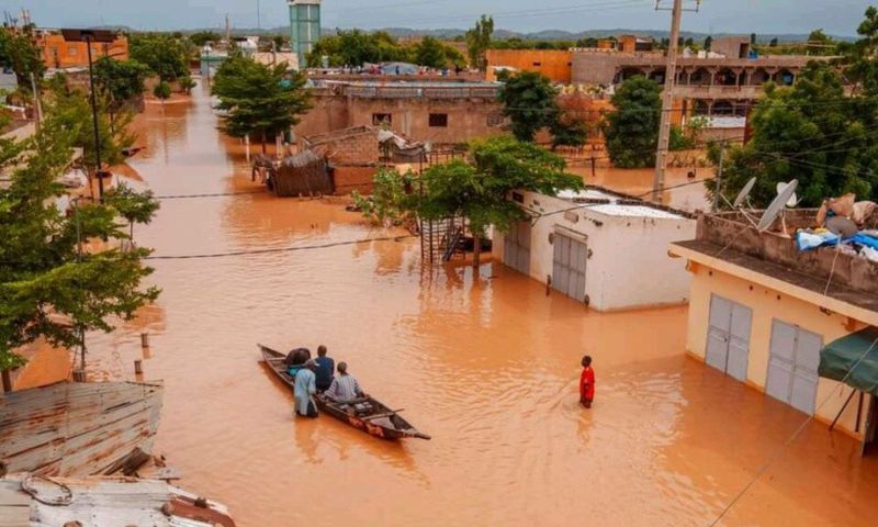 fleuve sénégal