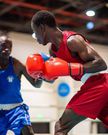 boxe Sénégal