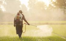 Ce fruit, que vous mangez tous les jours, favorise les risques de Parkinson