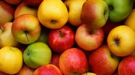 Ce fruit, que vous mangez tous les jours, favorise les risques de Parkinson