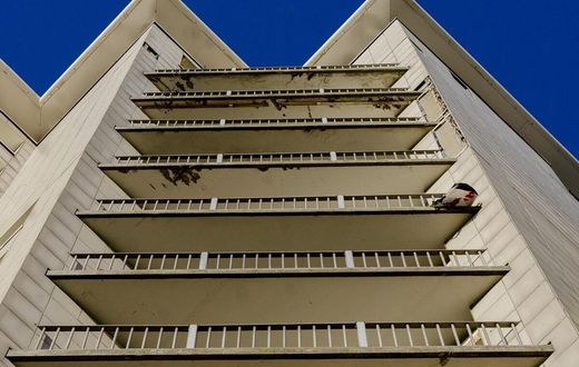 Elle ette-son-fils-de-6-ans-du-6e -etage-apres