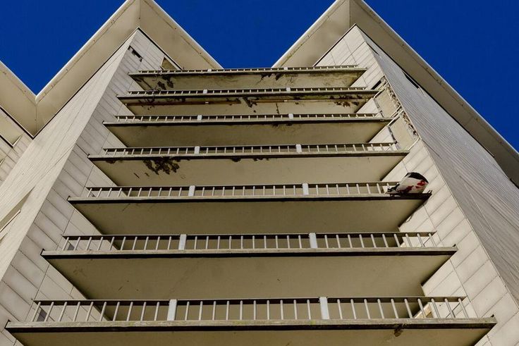 Elle ette-son-fils-de-6-ans-du-6e -etage-apres