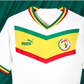 Maillot des Lions du Sénégal