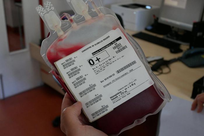 Poche de sang O+