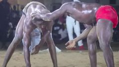 Modou Faye "Ordinateur" ( pagne rouge) contre radiakhé