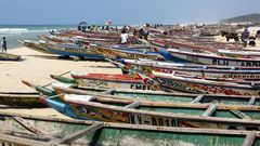 Pirogues are traditional wooden boats with a flat bottom which are often used for travelling through mangroves or between islets in delta areas