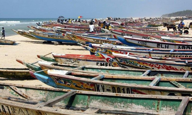 Pirogues are traditional wooden boats with a flat bottom which are often used for travelling through mangroves or between islets in delta areas