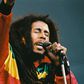 bob marley pour le 11 mai