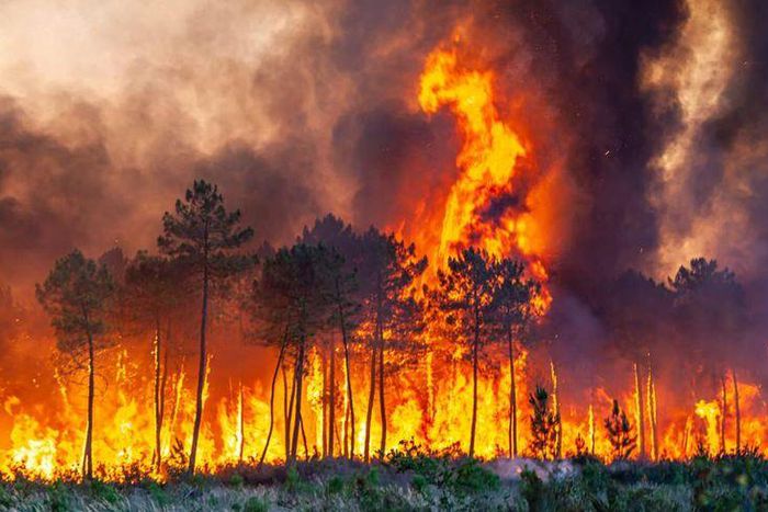 Incendie en Gironde
