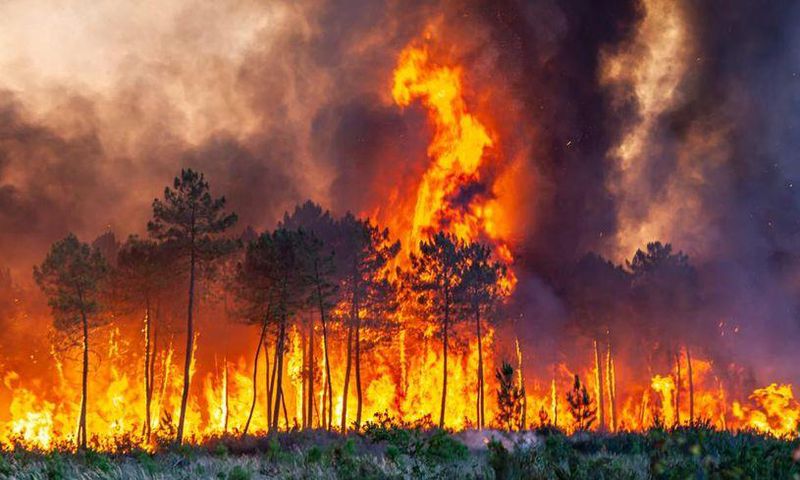 Incendie en Gironde