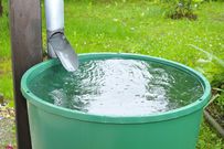 Eau de pluie recueillie dans une bassine