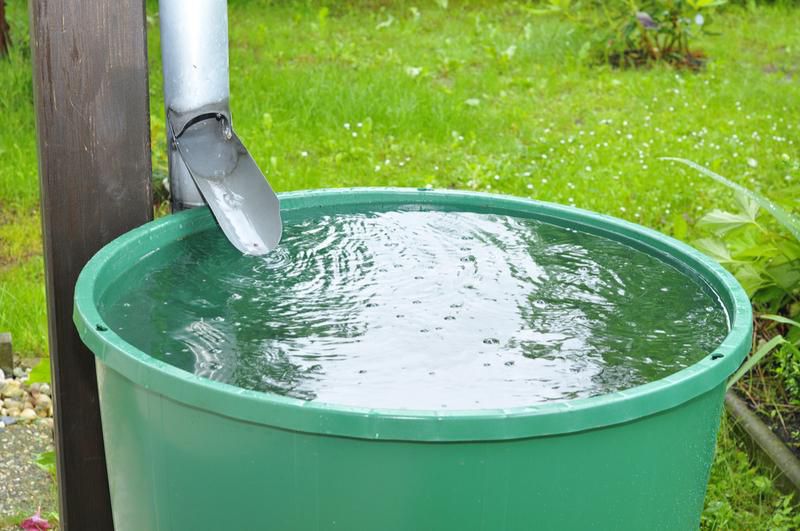 Eau de pluie recueillie dans une bassine