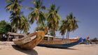Des pirogues arrimées sur le rivage à Cap Skirring [Casamance]