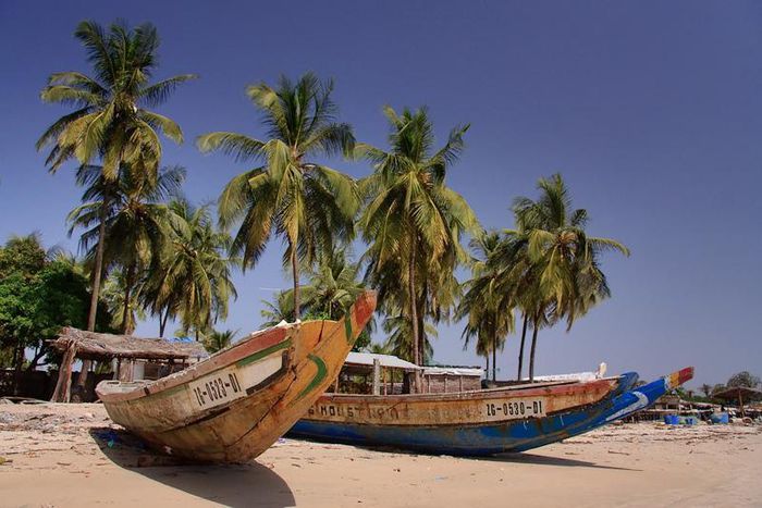 Des pirogues arrimées sur le rivage à Cap Skirring [Casamance]