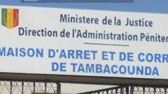 mac-de-tamba