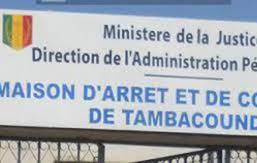 mac-de-tamba