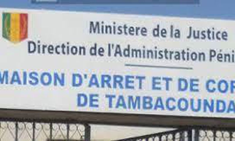 mac-de-tamba