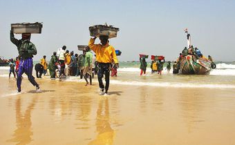 Retour-des-pecheurs-au-port-de-Kayar
