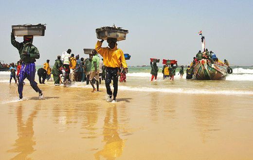 Retour-des-pecheurs-au-port-de-Kayar