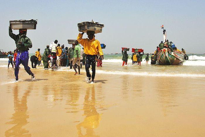 Retour-des-pecheurs-au-port-de-Kayar
