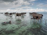 Ils sont décrits comme des nomades de la mer [National geographic].