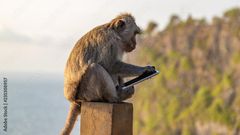 Unsinge manipulant un telephone