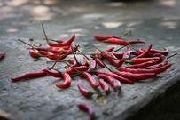Piment
