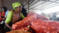 Commerce oignon Sénégal