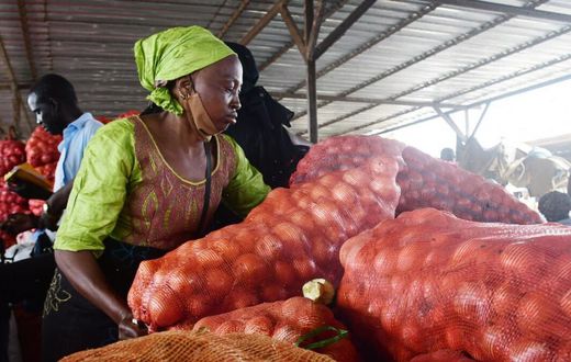 Commerce oignon Sénégal