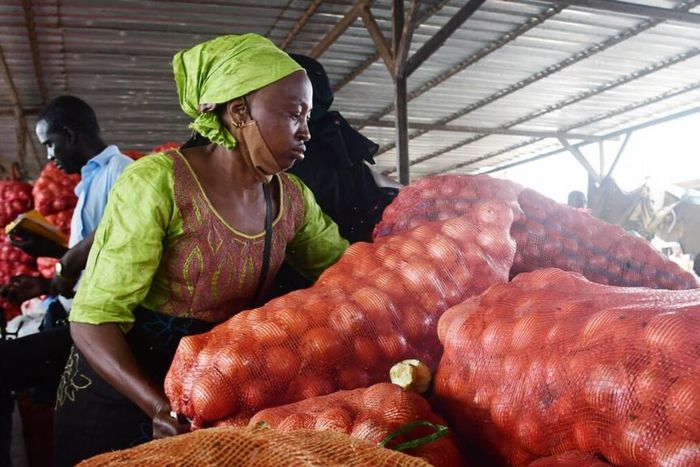 Commerce oignon Sénégal
