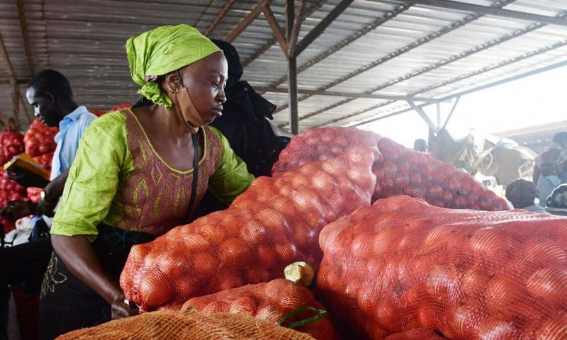 Commerce oignon Sénégal