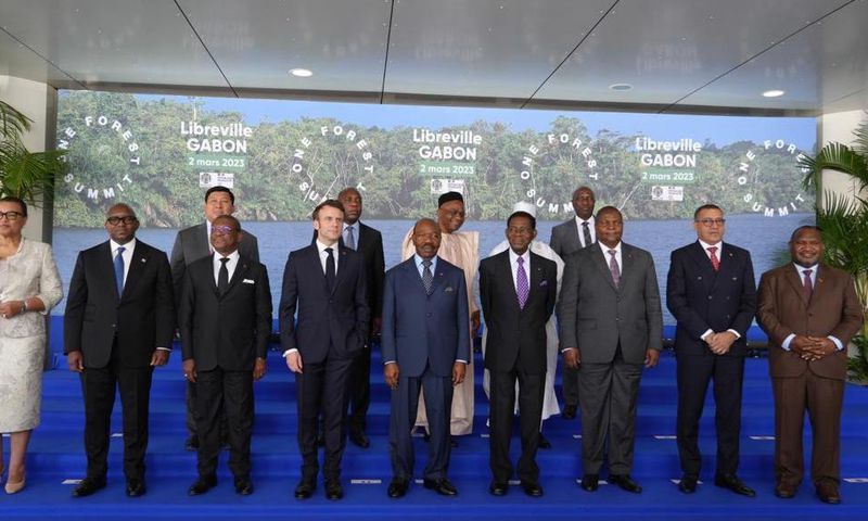 One forest summit
