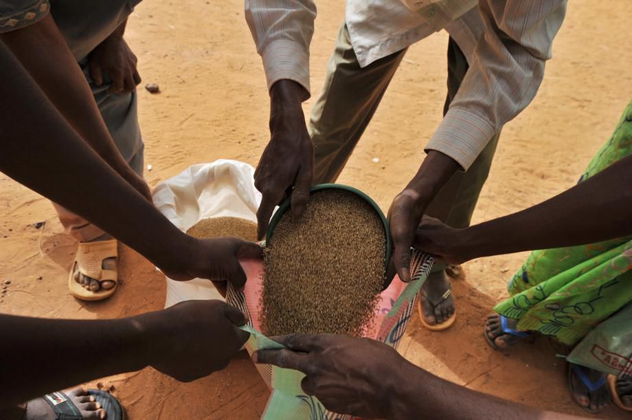 fao-sahel
