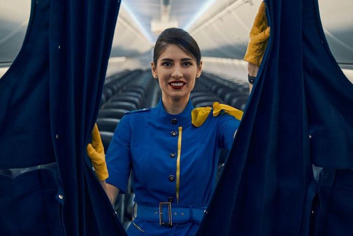 large landscape 267384