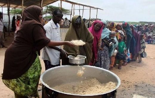 Insécurité alimentaire
